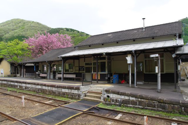 駅舎を望む。八重桜も見えます。