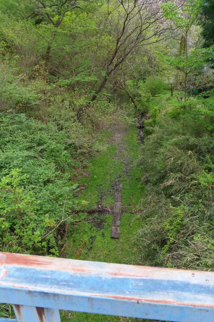 かつての足尾本山駅への貨物線の廃線跡、右側(間藤駅側)に生い茂る草木。。