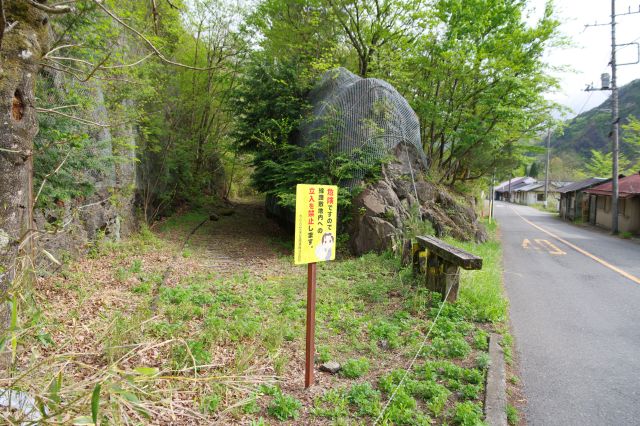 さきほど橋から見た草木の先の所です。