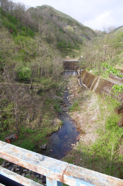 自然豊かな川の上流方面。