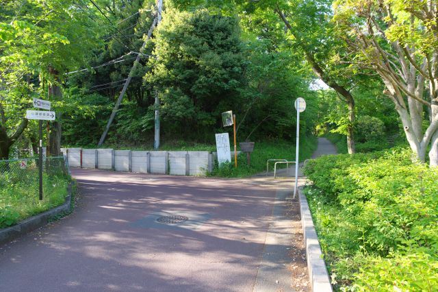 国分尼寺の北側は車道は左へ、歩道が正面に続きます。