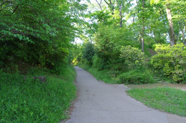 緑に囲まれた歩道が続きます。