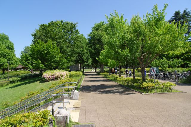 公園へ続くアプローチですが公園みたい。