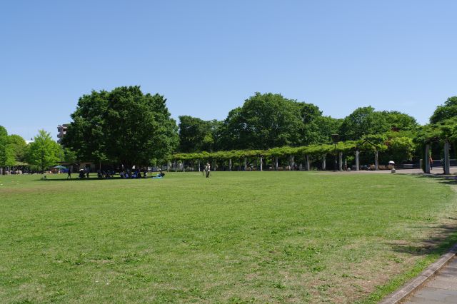 円形の周囲の道、奥には藤棚。