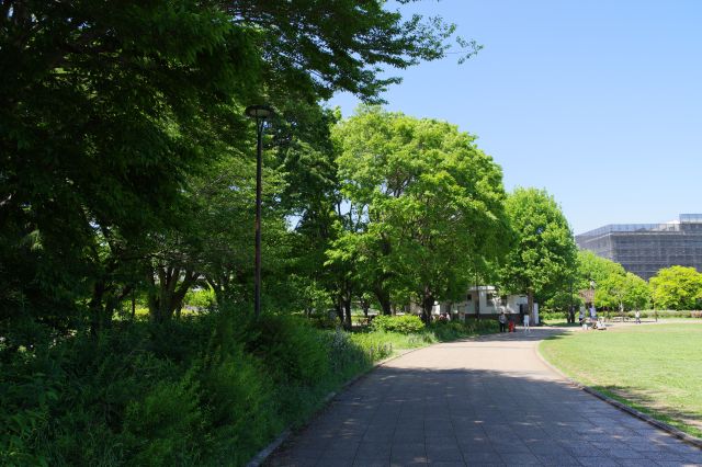 入口から60°分ぐらい進みました。