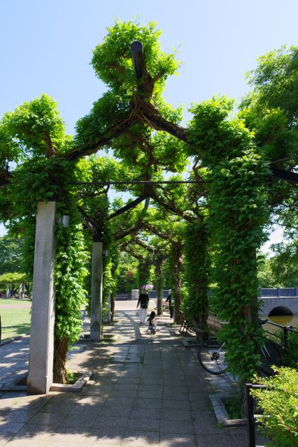 アーチ状になっています。