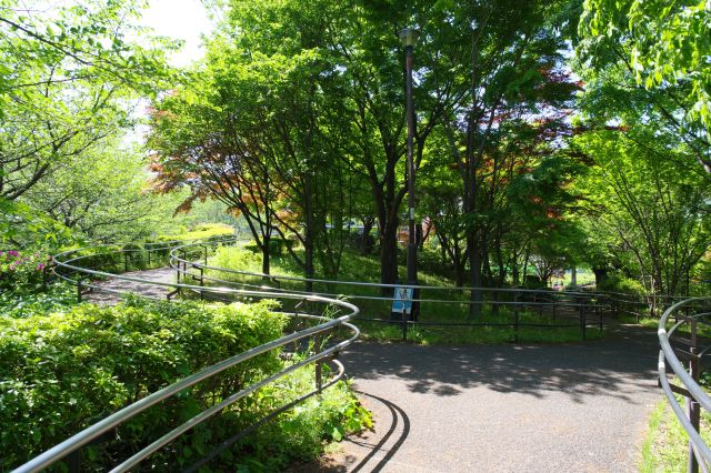 木々の遊歩道を進みます。