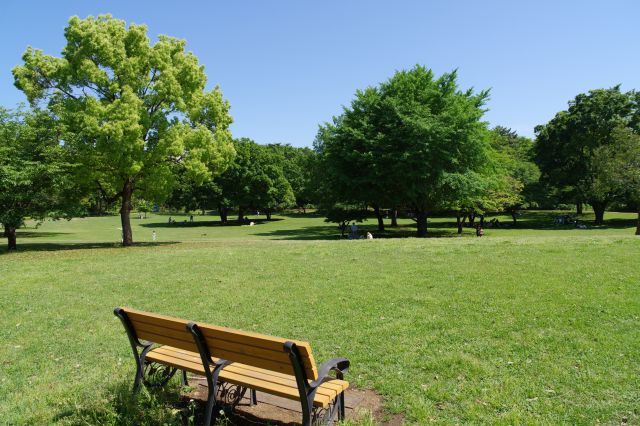 武蔵国分寺公園の写真ページ