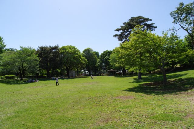 どこかゴルフ場のような感じもします。