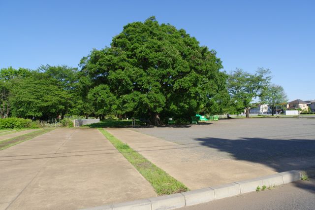 道路を挟んだ先の区画へ。