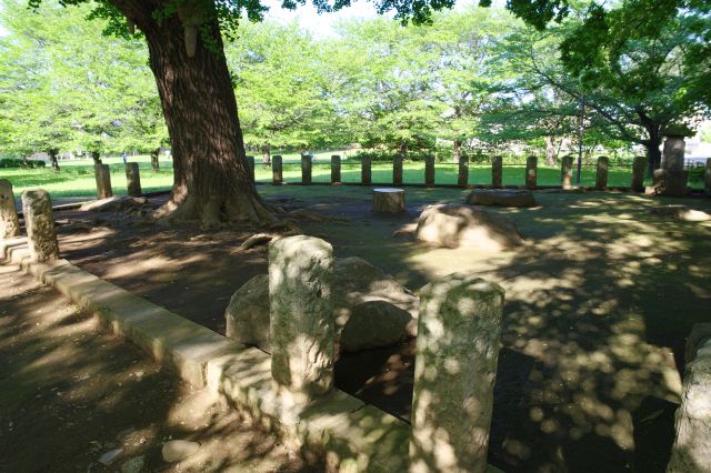 七重塔の跡が見られます。