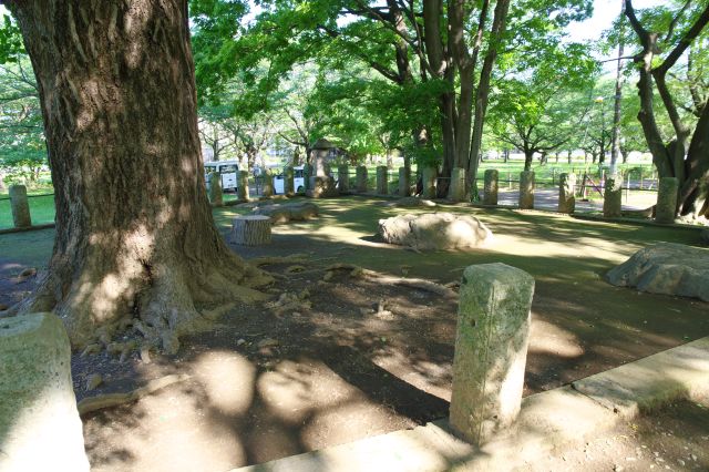 礎石と大きな木が立つ。