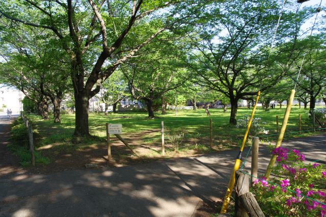 道路反対側の区画。