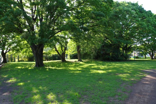 塔２はこちら側だったとされる。