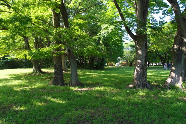 塔２があったとされる場所付近。特に何も確認できない。