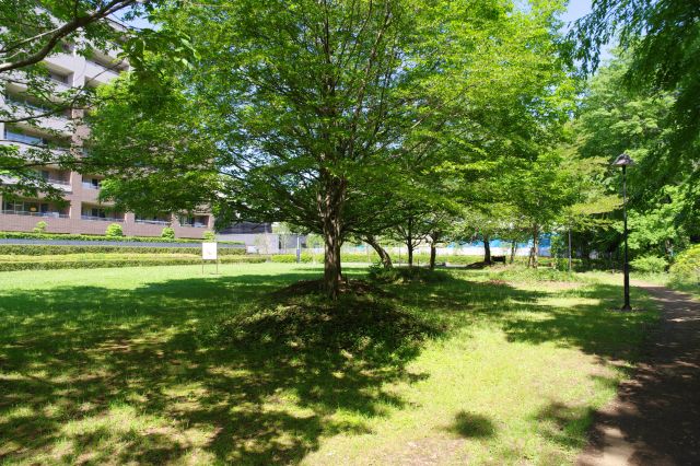 草木があるマンション前の広場的な小さな区画です。