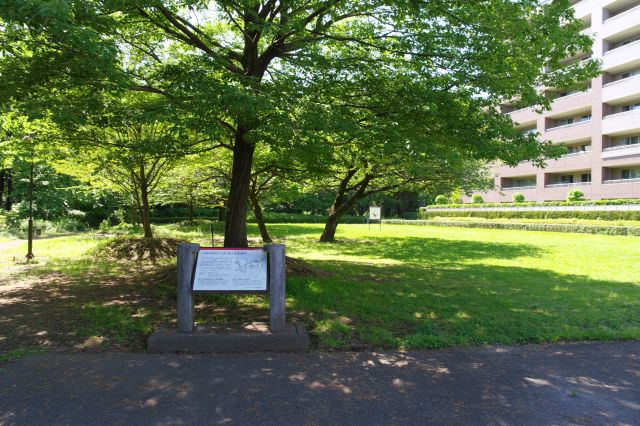 公園のような広場です。