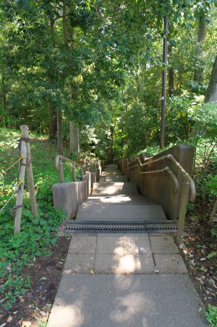 国分寺崖線を下ると真姿の池湧水群・お鷹の道を経て講堂方面へ繋がります。