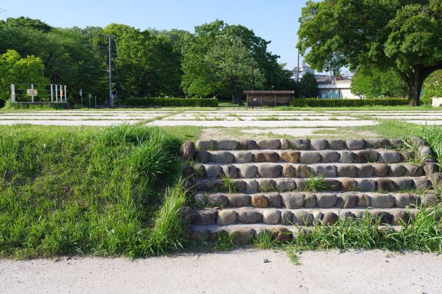 金堂跡の基壇へ、階段を登ります。