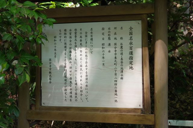 全国名水百選指定地、東京都では御岳渓流とここだけ。