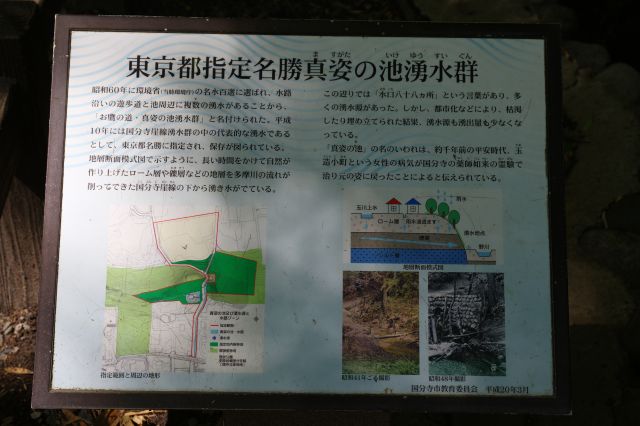 東京と指定名勝真姿の池湧水群の解説。