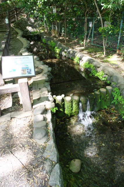 清らかな水の流れ。