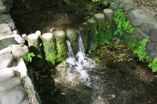 せき止めた小さな滝も風情。