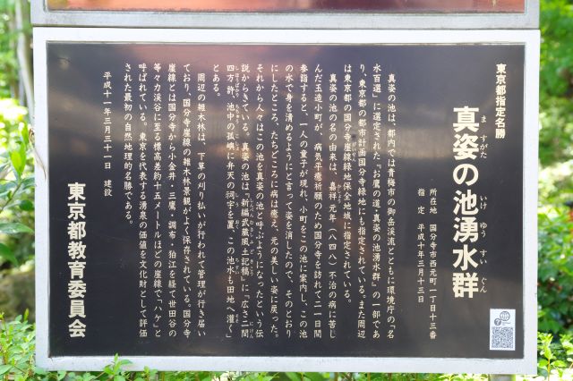 真姿の池湧水群の解説。