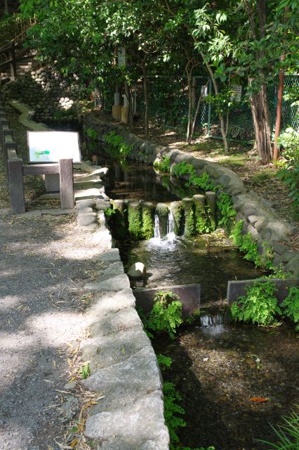 潤いをもたらす湧水の清流。