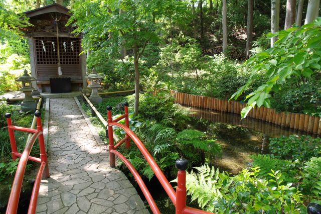 池に豊かな緑が茂る。