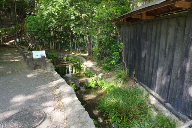 水路沿いを進むと黒い木の塀が始まる。