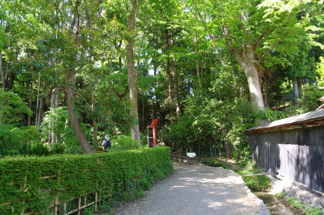 弁財天を振り返る。