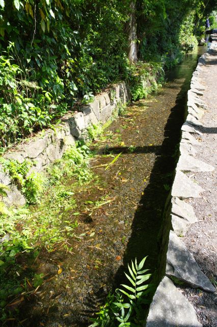 きれいな湧水の流れ。
