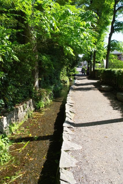 しばらく直線の水路と小路が続きます。
