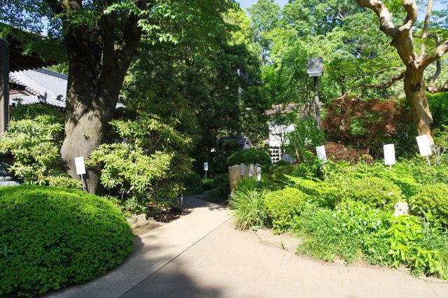 右側へ、通路より緑が多く占める。