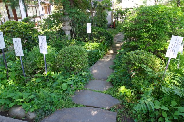 緑の合間に沢山の立札、万葉集に詠われた植物たち。