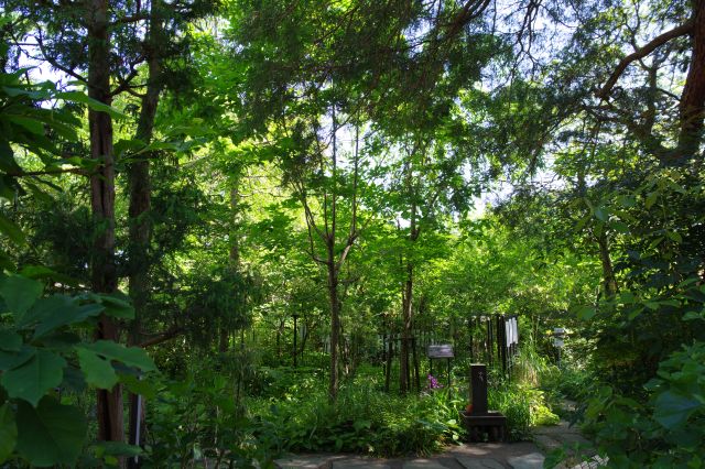 多様ながら雑多ではない美しい造形が続く。