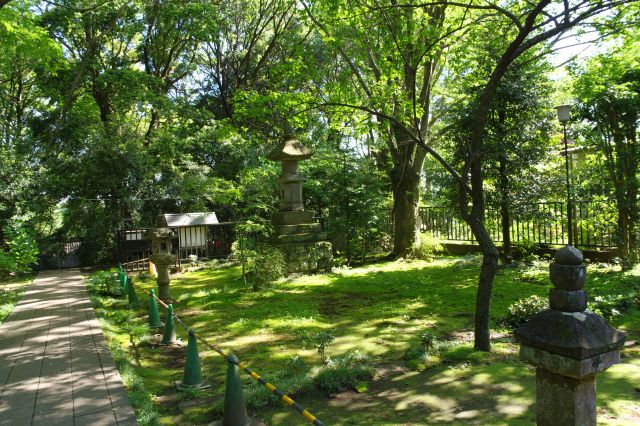 密やかで美しい空間です。