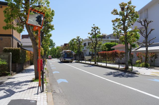 まっすぐで街路樹がある心地よい道。