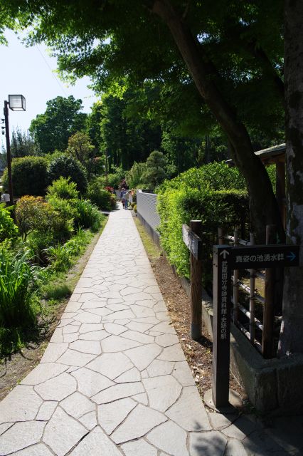 真姿の池湧水群からお鷹の道との交差点へ。