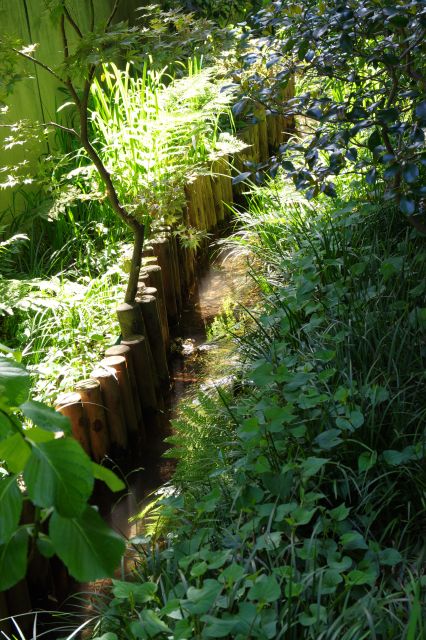 湧水の小さな水路沿いの道。自然の香りと静かで鳥の声の心地よさ。
