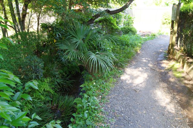 しばらく鬱蒼とした小路を進みます。