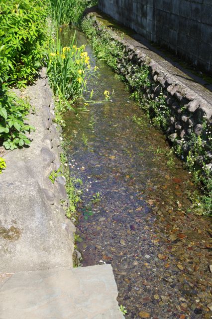 湧水の透明な清流が流れます。