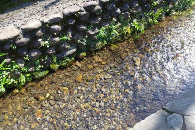 きれいな透明な水。