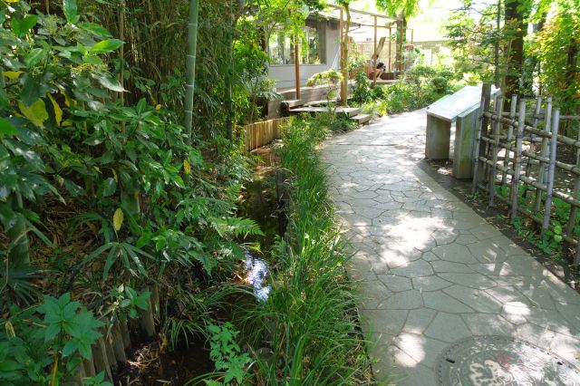 道は小川と共に少し曲がります。