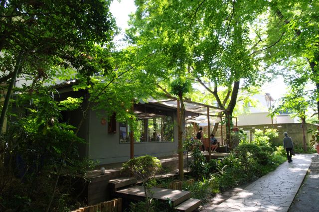 お鷹の道の写真ページ