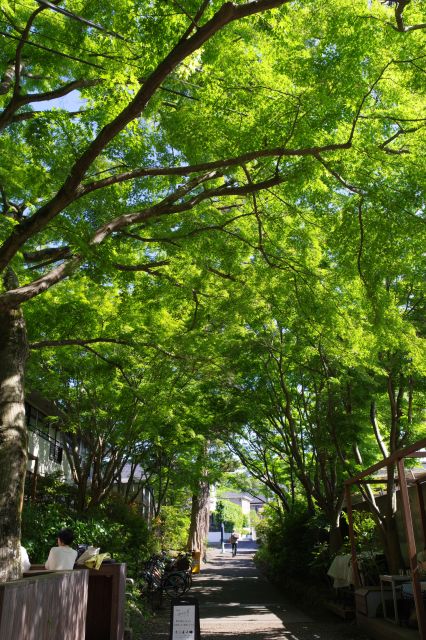 平行する通りに出る道、緑のアーチが美しい。