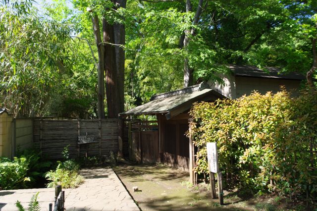 ジグザグに曲がります。