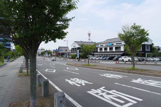 電柱のない大通り、街路樹と風情な建物。