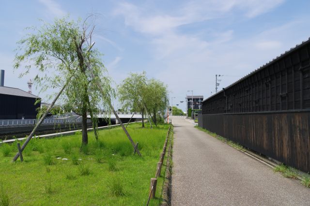 黒壁と緑も良いコントラスト。